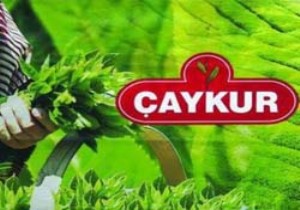 Çaykur, Kaçak Çayın Kökünü Kurutmaya Kararlı....