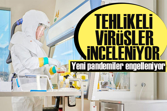 Tehlikeli virüsleri araştırıyorlar: Uzmanlar dünyada yeni pandemileri engellemek için çalışıyor