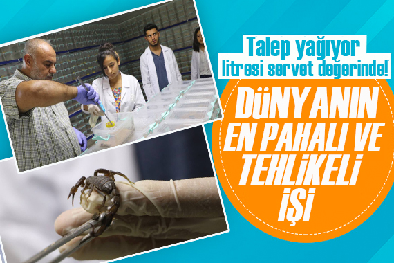 Dünyanın en pahalı ve tehlikeli işi!