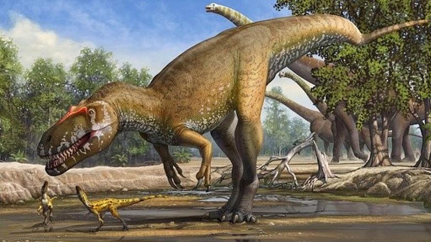 Milyonlarca yıllık dinozor yumurtası fosilleri bulundu