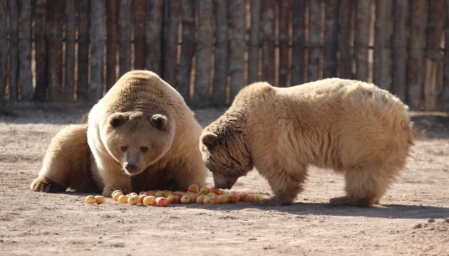 İç Anadolu nun en büyük hayvanat bahçesi 450 binden fazla ziyaretçiyi ağırladı
