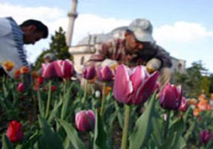 İLAÇ GİBİ HABER: