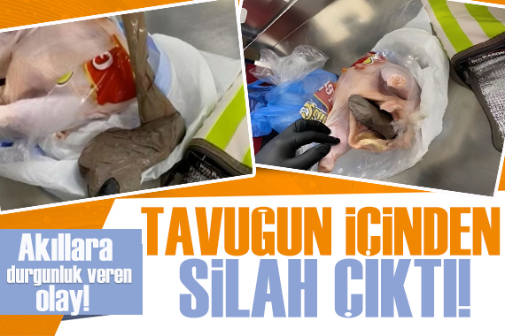 Akıllara durgunluk veren olay! Tavuğun içinden silah çıktı