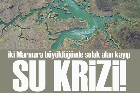 Su krizi derinleşiyor: Son 50 yılda 2 Marmara büyüklüğünde sulak alan kayıp