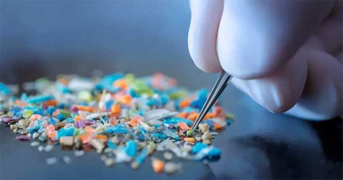 İnsan yumurtalık sıvısında mikroplastik bulundu