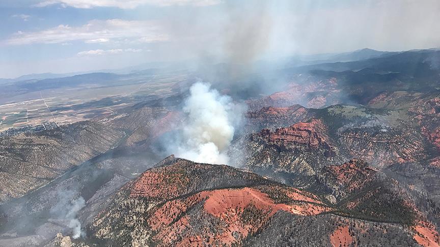 Arizona da olağanüstü hal ilan edildi