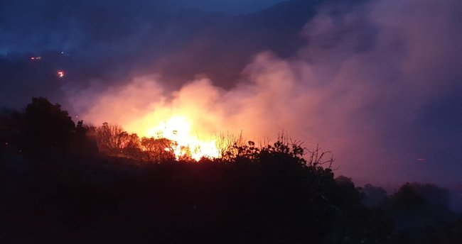 KKTC de 3 noktada orman yangını meydana geldi