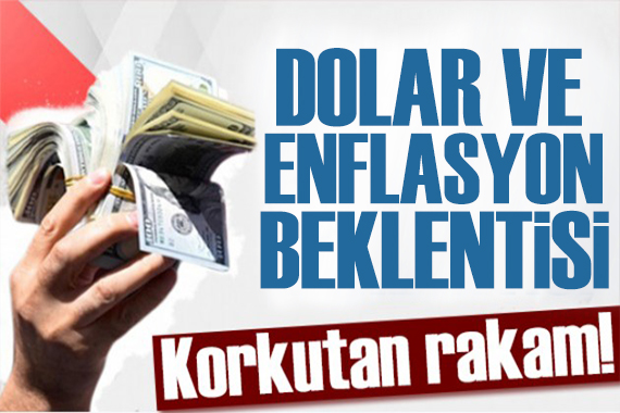 Merkez Bankası açıkladı: Dolar ve enflasyon mesajı! Yıl sonu tahmini yükseldi