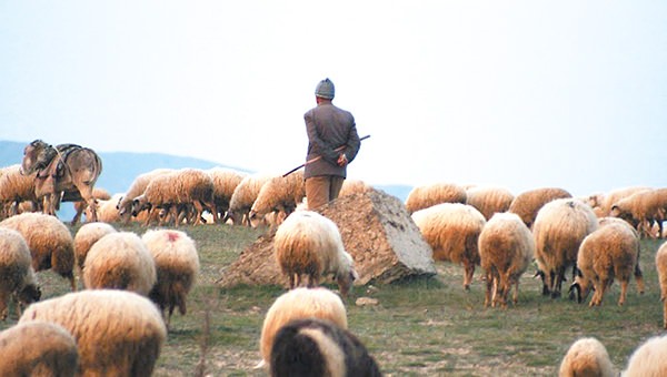 Afgan çoban iddialarına yalanlama
