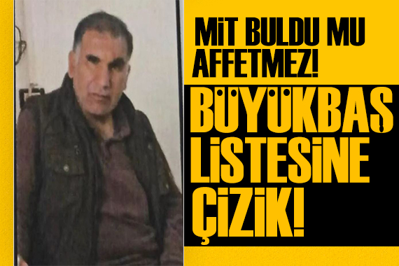 MİT ten nokta atış! Hamza Kobani etkisiz hale getirildi