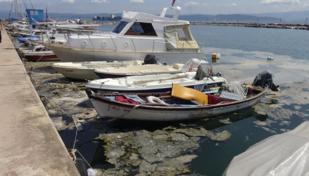 Denize girmek yasaklandı