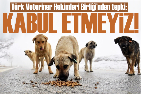 Veteriner Hekimleri Birliği nden tepki: Bu tip bir zorlama asla olmamalı!