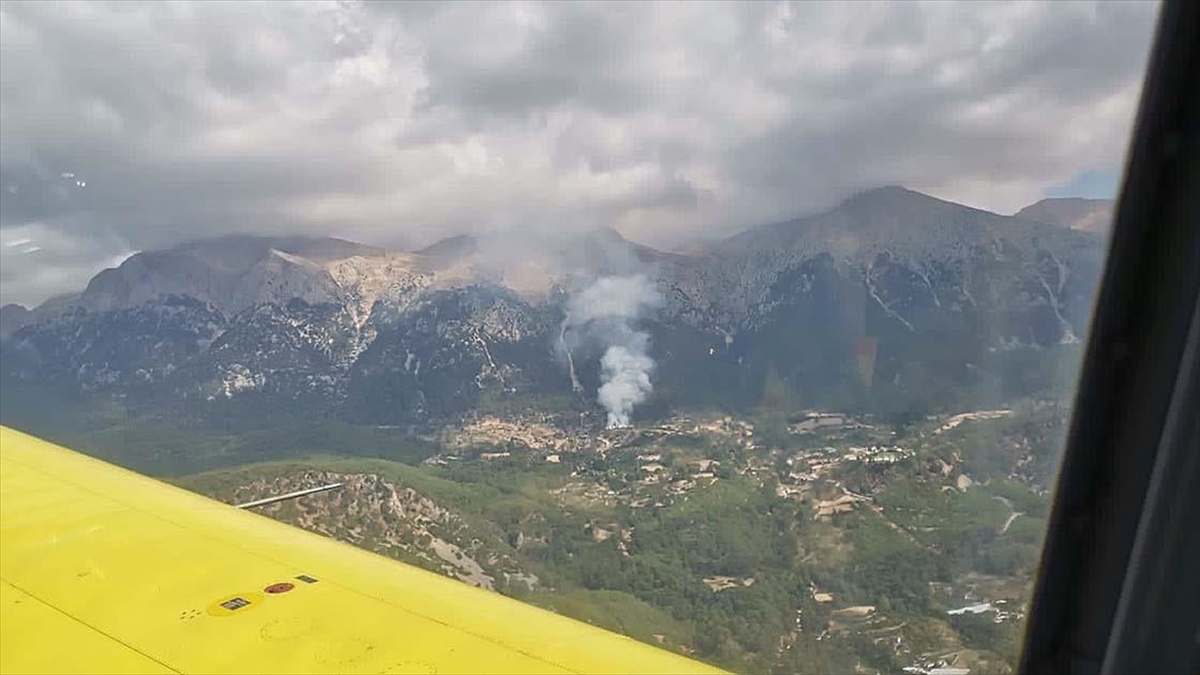 Muğla’da orman yangını