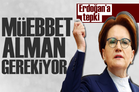 Akşener den Erdoğan a tepki: Eserinle gurur duyuyor musun?