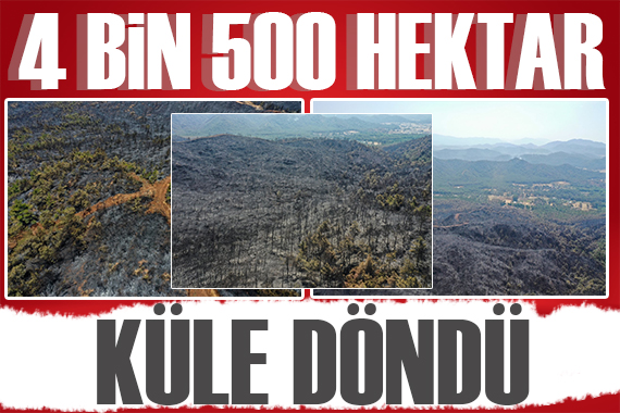 4 bin 500 hektar kül oldu! Yangında son gün raporu