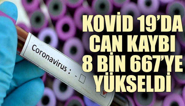 Kovid 19 da can kaybı 8 bin 667’ye yükseldi