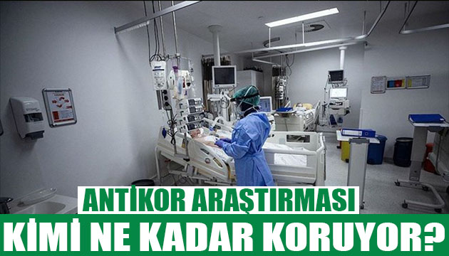 Antikor araştırması! Kimi ne kadar koruyor?