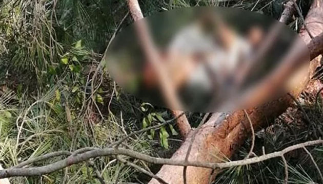 Edirne’de üzerine ağaç devrilen işçi hayatını kaybetti