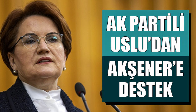 AK Partili Uslu dan Akşener e destek