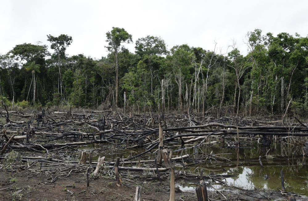 AB’den ormansızlaşmaya neden olan ürünlere ithal yasağı