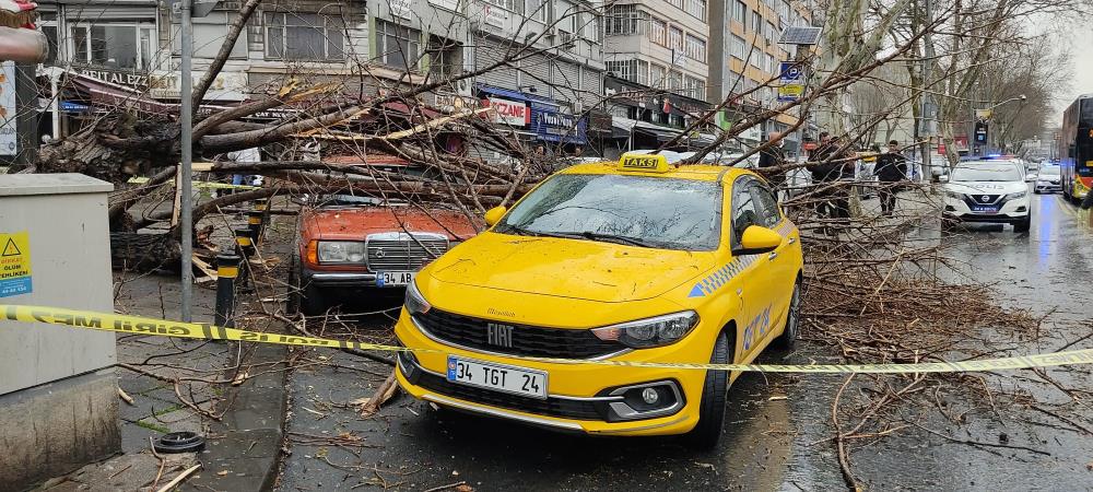 Çürüyen ağaç iki otomobilin üzerine devrildi