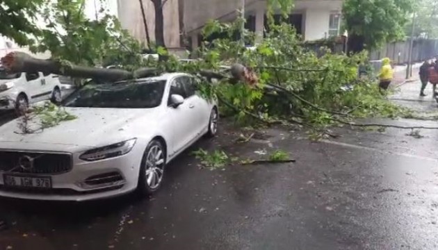 Ankara'da 3 aracın üzerine ağaç devrildi