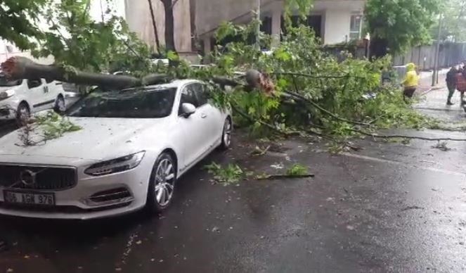 Ankara da 3 aracın üzerine ağaç devrildi