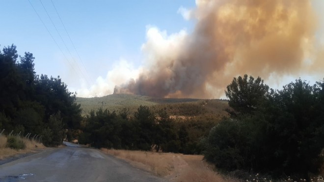 Meteoroloji den orman yangını uyarısı
