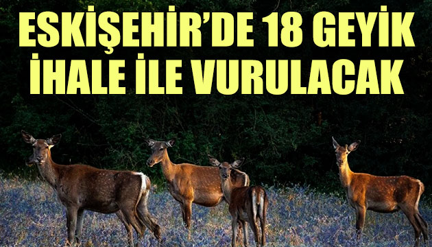 Eskişehir’de 18 geyik ihale ile vurulacak!