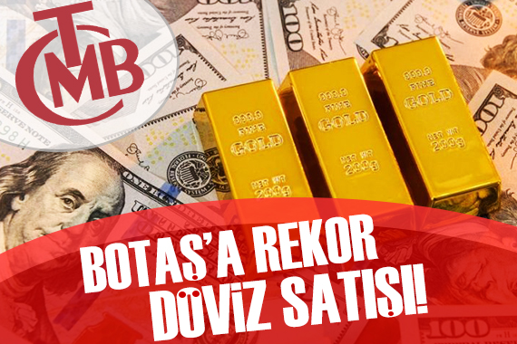 Botaş a rekor döviz satışı!