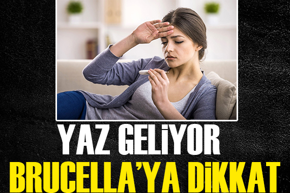 Uzmanlar uyardı! Yaz geliyor brucella’ya dikkat