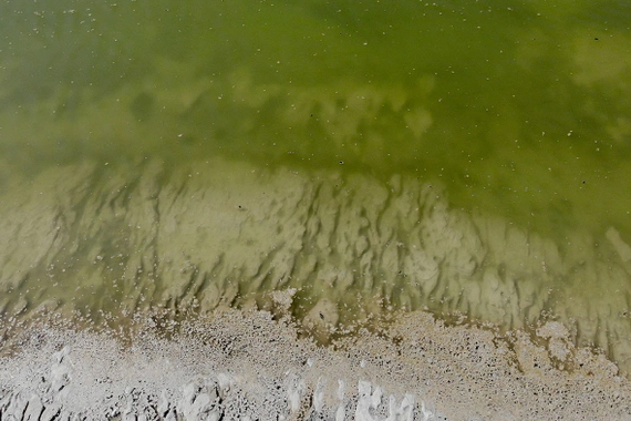 Burdur Gölü nde  alg patlaması  paniği!