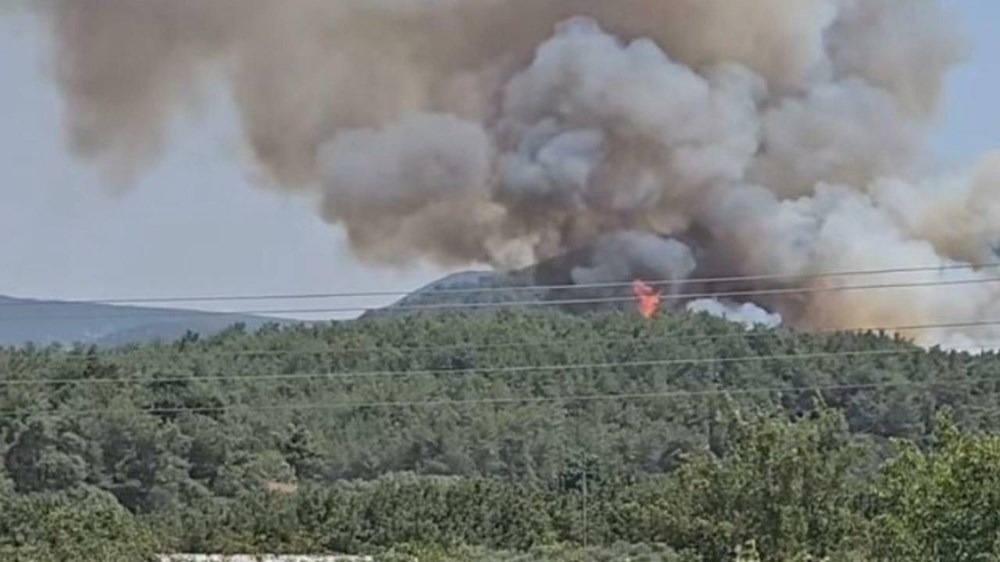 Çanakkale, İzmir ve Malatya da orman yangını