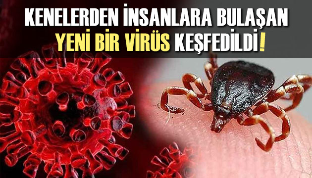 Kenelerden insanlara bulaşan yeni bir virüs keşfedildi!