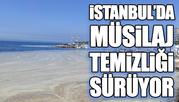 İstanbul da müsilaj temizliği sürüyor