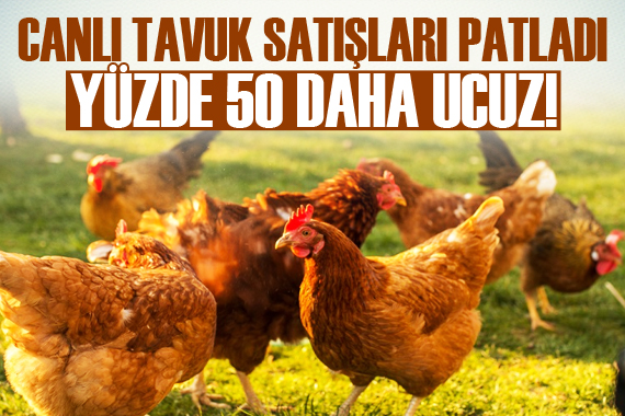 Canlı tavuk satışları patladı: Yüzde 50 daha ucuz