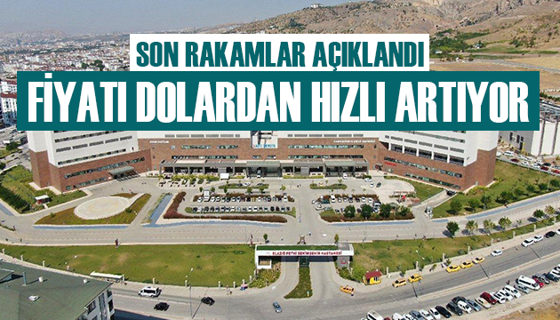 Son rakamlar açıklandı! Fiyatı dolardan hızlı artıyor