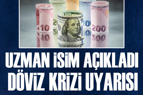 Uzman isimden döviz krizi uyarısı!