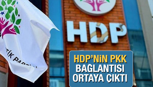HDP li başkanın PKK bağlantısı ifşa oldu