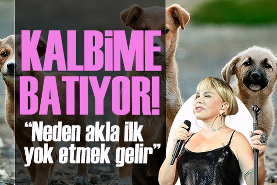 Sezen Aksu dan sokak hayvanlarının uyutulmasına yönelik yasa teklifine tepki: Kalbime batıyor