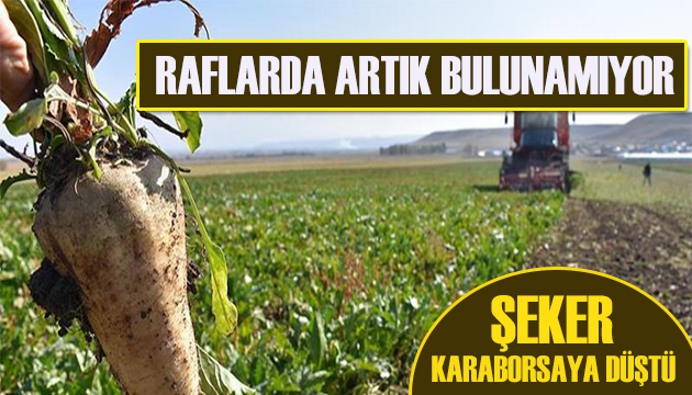 Raflarda artık bulunamıyor! Şeker karaborsaya düştü