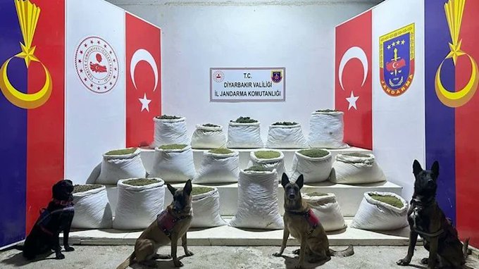 Diyarbakır’da 2 milyon kök Hint keneviri ele geçirildi: 10 şüpheli gözaltında