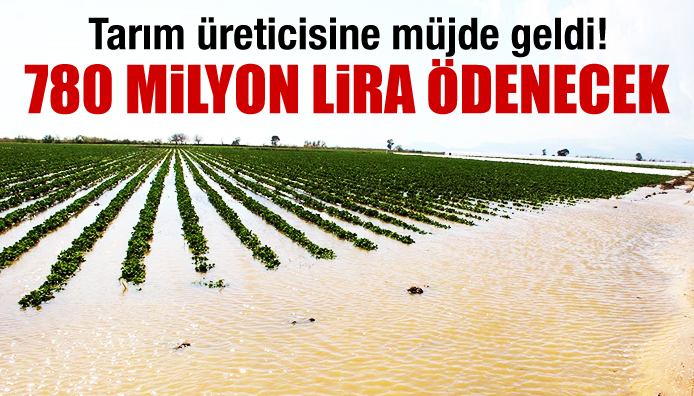 Tarım üreticisine müjde! 780 milyon lira ödenecek