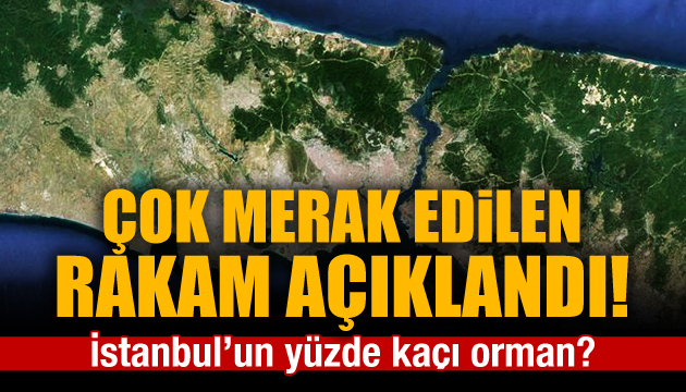 İstanbul un yüzde 44,4 ü orman
