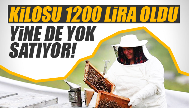 Anzer balının kilogramı 1200 lira oldu