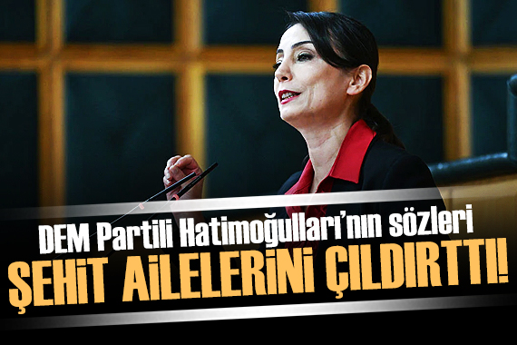 Şehit ve gazi ailelerinden DEM Partili Hatimoğulları na tepki