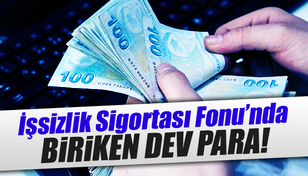 İşsizlik sigortası Fonu nda dev para birikti