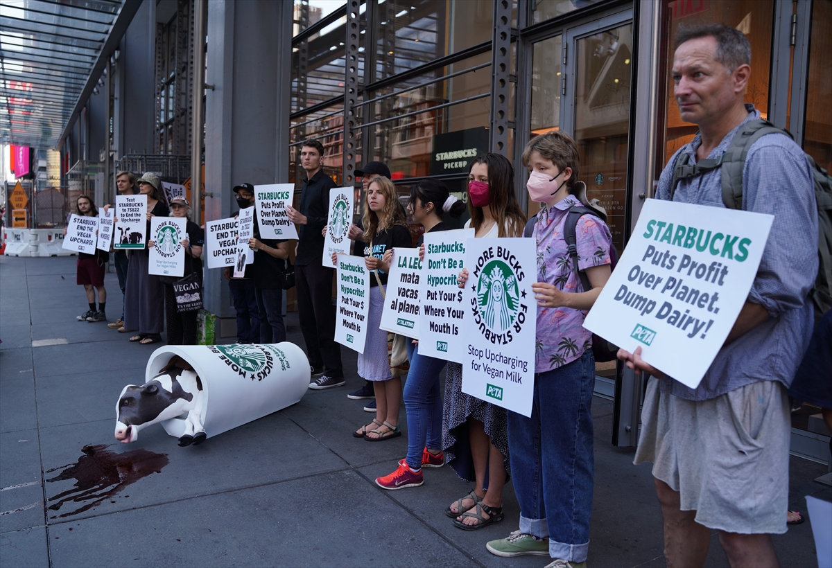 New York ta Starbucks karşıtı protesto