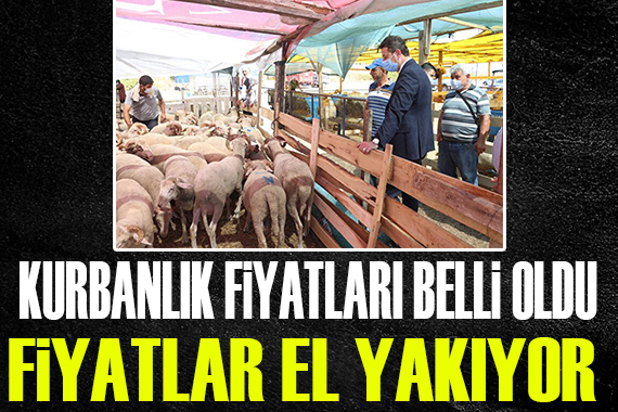 Kurban hisse fiyatları belli oldu