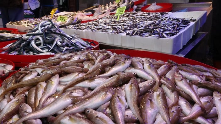 Karadeniz de balık bolluğu